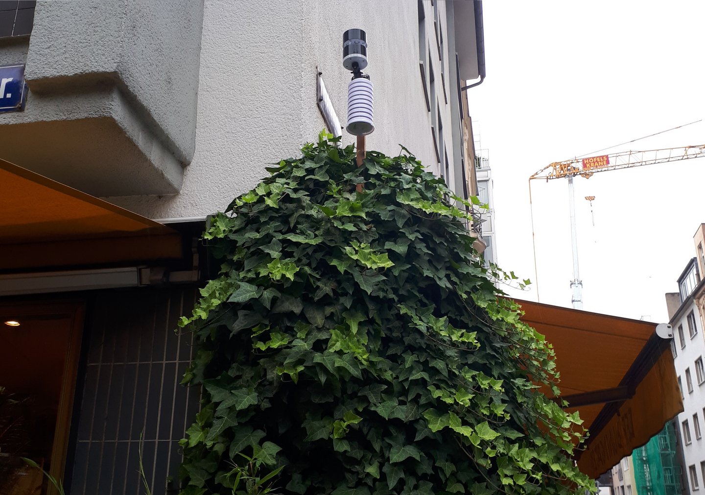 A NETATMO weather sensor in front of a building wall
