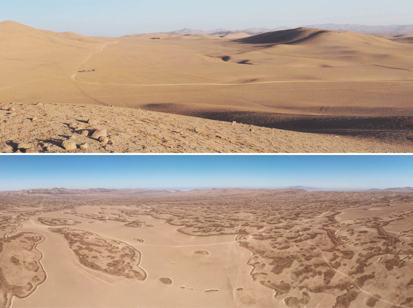 Forschungs- projekte